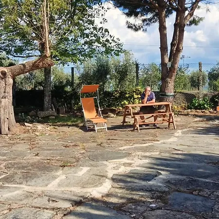Casa Da Eira Holiday home Pinheiro de Coja